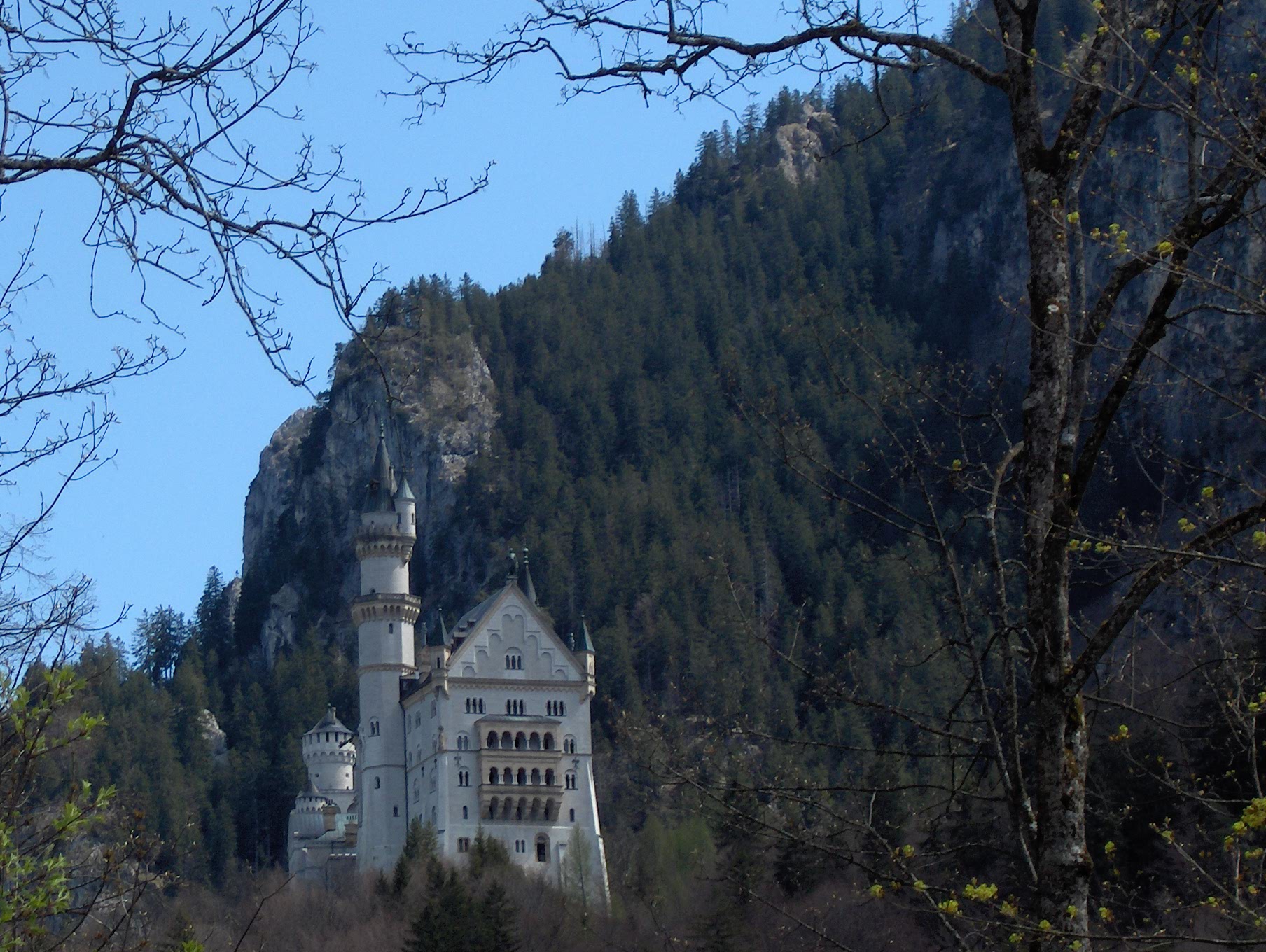 Gironzolare per la Baviera alla scoperta dei castelli di Ludwig